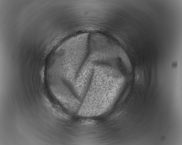 X0000115540206200911271418