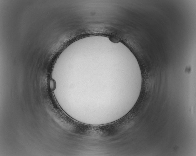 X0000115540207200911271418