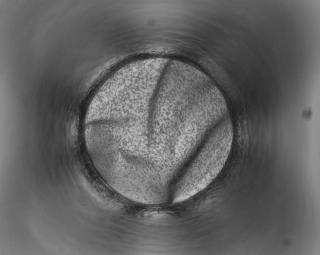 X0000115540208200911271418