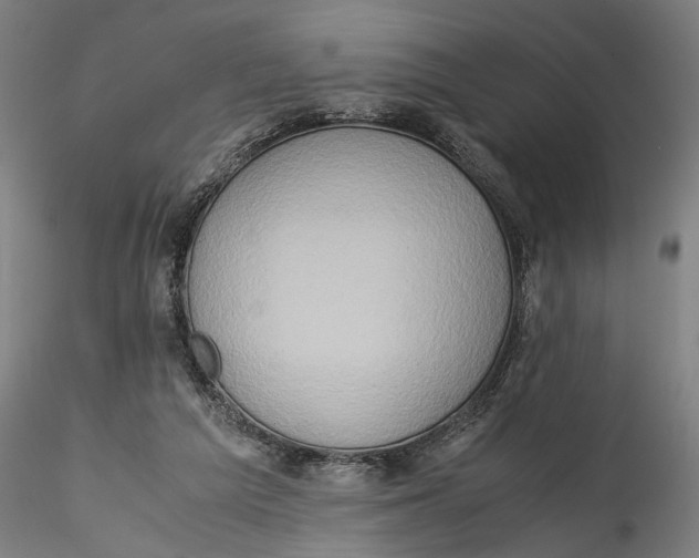 X0000115540209200911271418