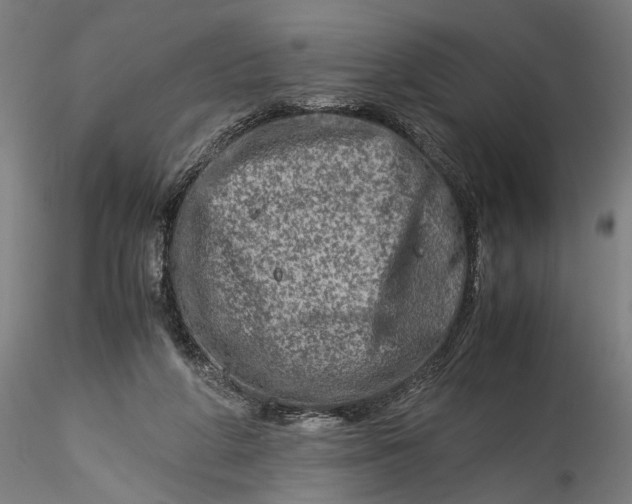 X0000115540210200911271418