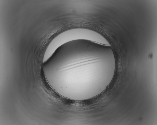 X0000115540211200911271418