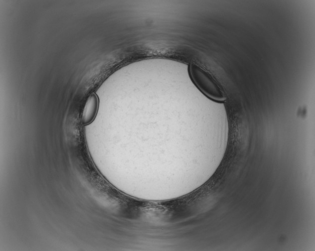 X0000115540215200911271418