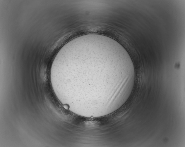 X0000115540216200911271418