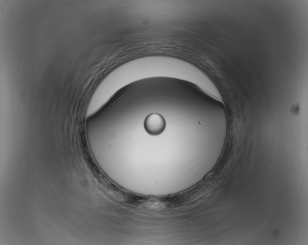 X0000115540217200911271418