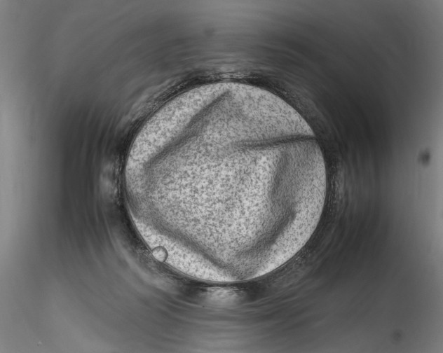 X0000115540218200911271418