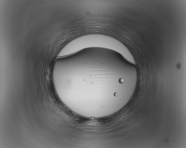 X0000115540219200911271418