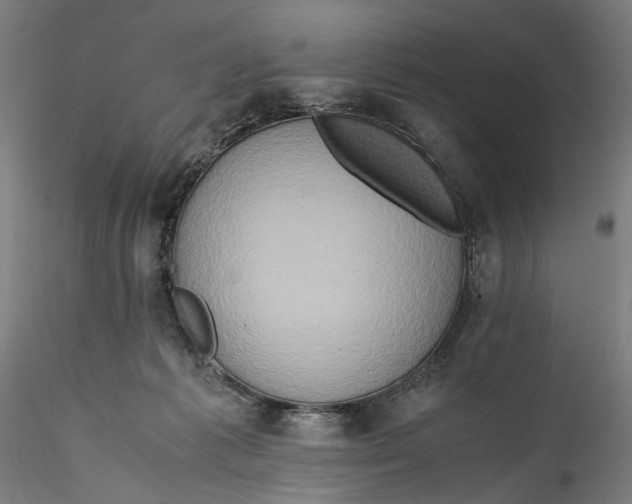 X0000115540221200911271418