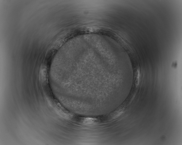 X0000115540222200911271418