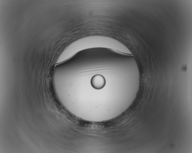 X0000115540223200911271418