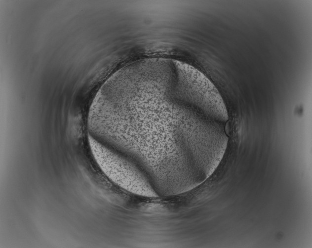 X0000115540224200911271417