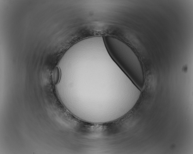 X0000115540225200911271417