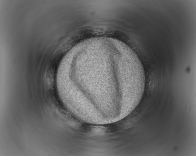 X0000115540226200911271417