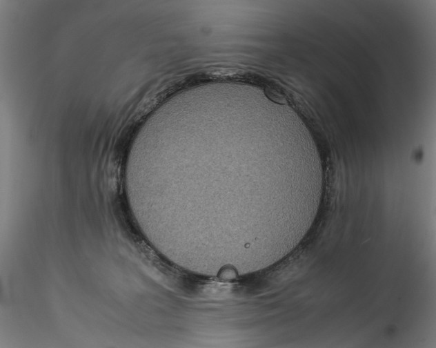 X0000115540227200911271417