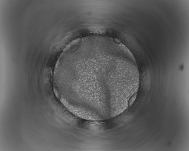 X0000115540229200911271417