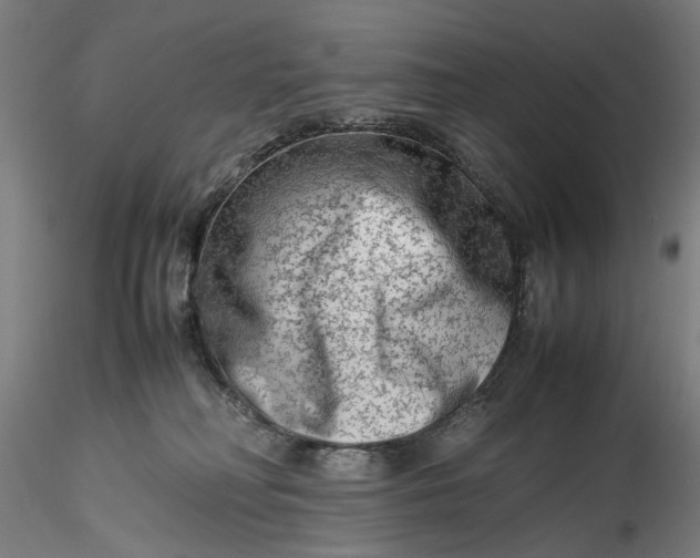 X0000115540230200911271417