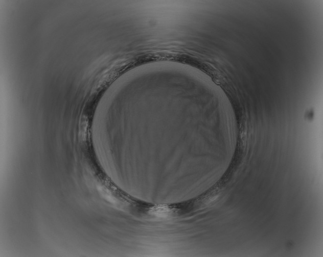 X0000115540231200911271417