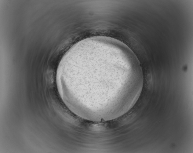 X0000115540232200911271417