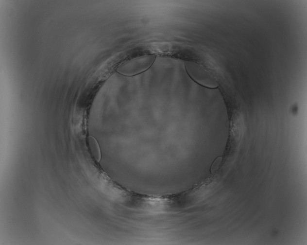 X0000115540233200911271417