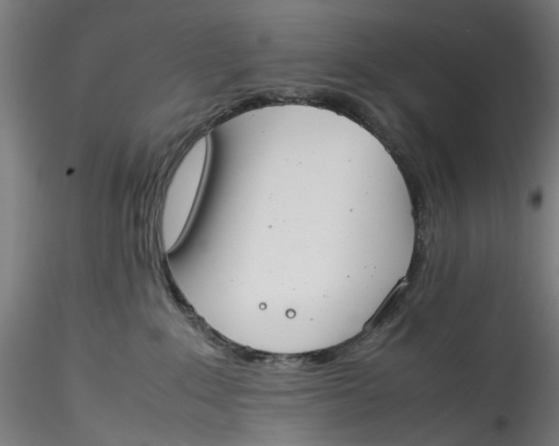 X0000115540235200911271417