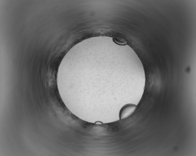 X0000115540236200911271417