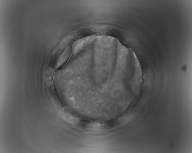 X0000115540237200911271417