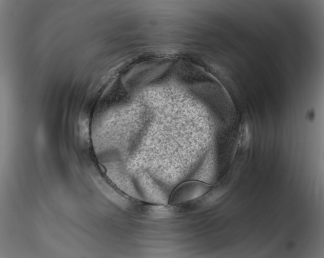 X0000115540238200911271417