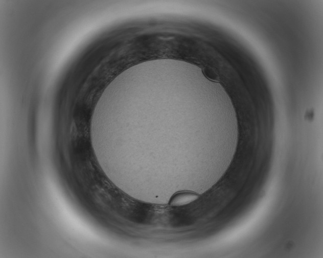 X0000115540239200911271417