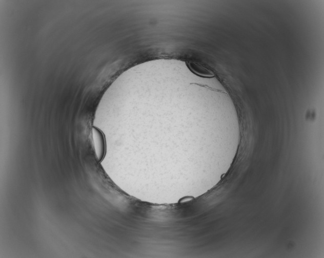 X0000115540240200911271417