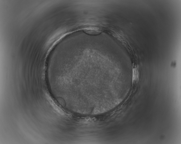 X0000115540243200911271417