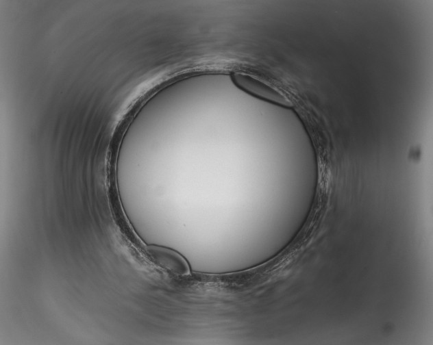 X0000115540244200911271417