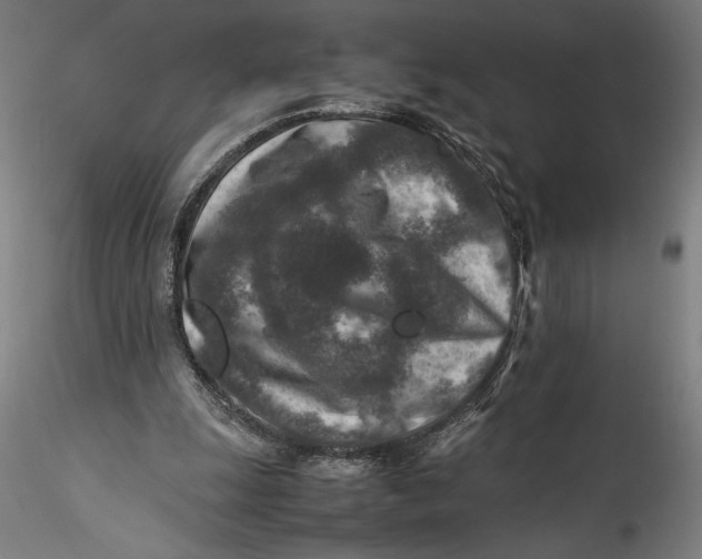 X0000115540247200911271417