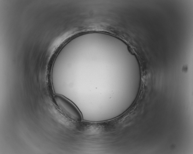 X0000115540248200911271417