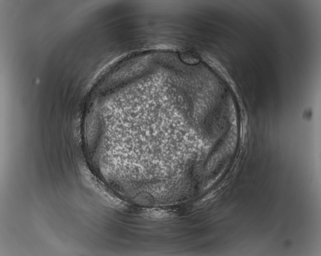 X0000115540249200911271417