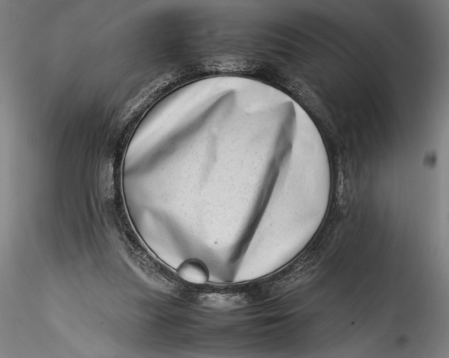 X0000115540251200911271417