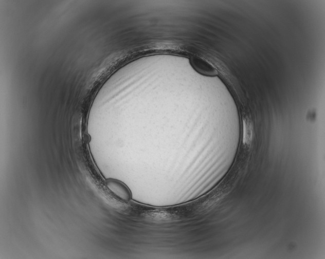 X0000115540253200911271417