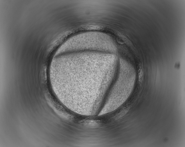 X0000115540254200911271417