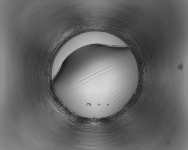 X0000115540260200911271417