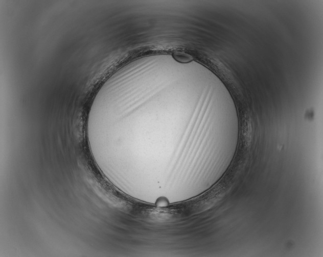 X0000115540261200911271417