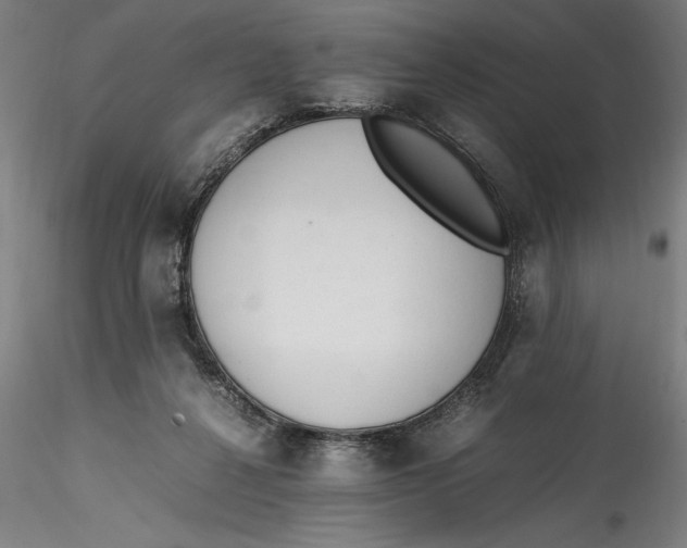 X0000115540264200911271417