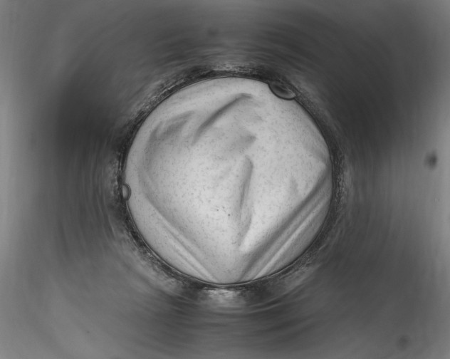 X0000115540265200911271417