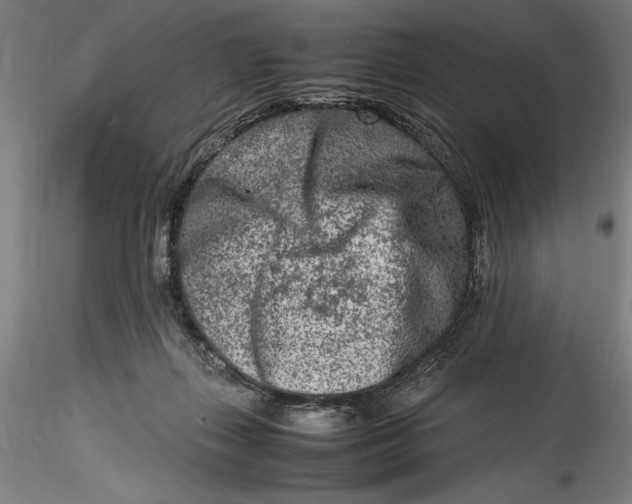 X0000115540267200911271417