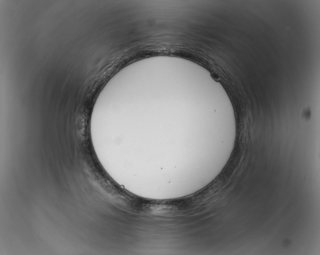 X0000115540268200911271417