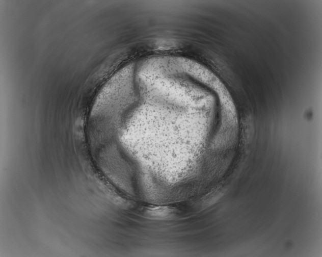 X0000115540269200911271417