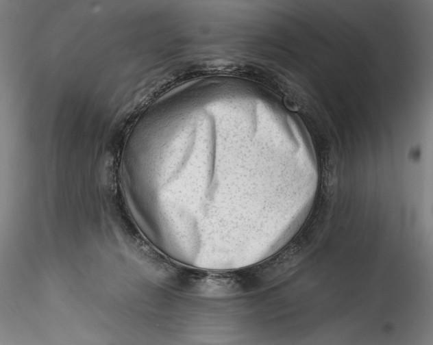 X0000115540270200911271417