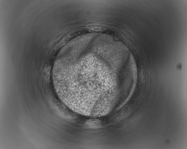 X0000115540271200911271417