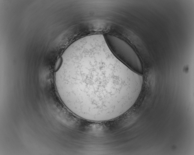 X0000115540272200911271417