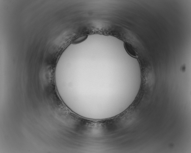 X0000115540276200911271417