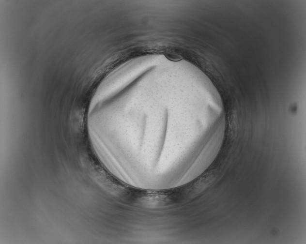 X0000115540278200911271417