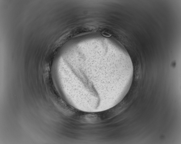 X0000115540279200911271417